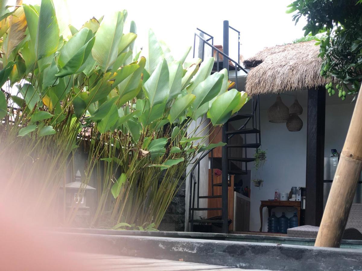 Kak Poleng Guesthouse 坎古 外观 照片