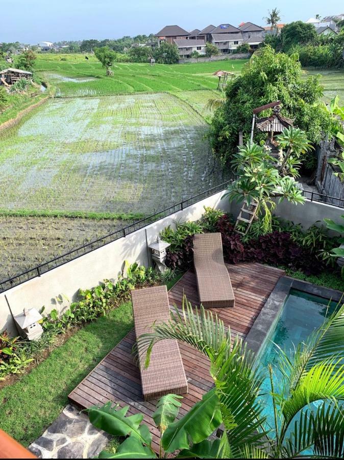Kak Poleng Guesthouse 坎古 外观 照片
